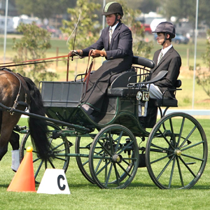 Jacob Arnold winning at the Little Everglades event in the USA driving a Bennington Presentation Carriage